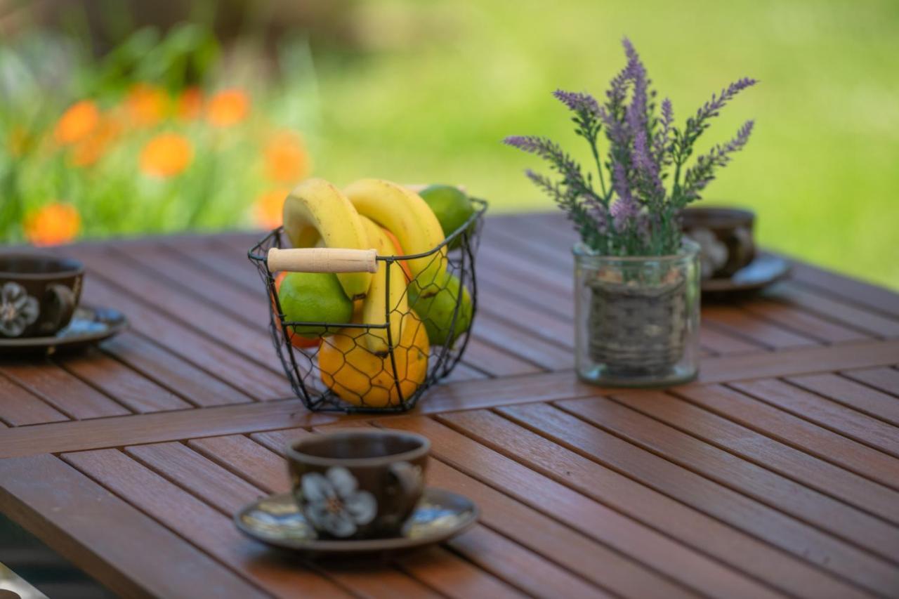 Holiday Home Dide Kanfanar Εξωτερικό φωτογραφία